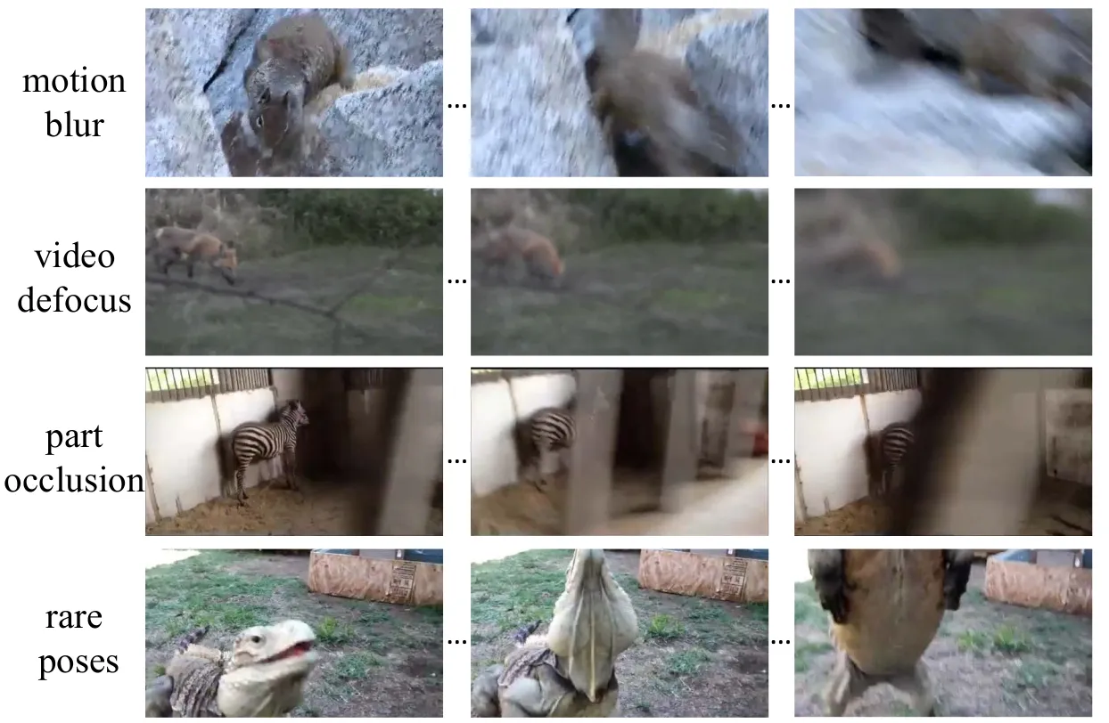 Flow-Guided Feature Aggregation for Video Object Detection - 로민 공식 블로그 ...