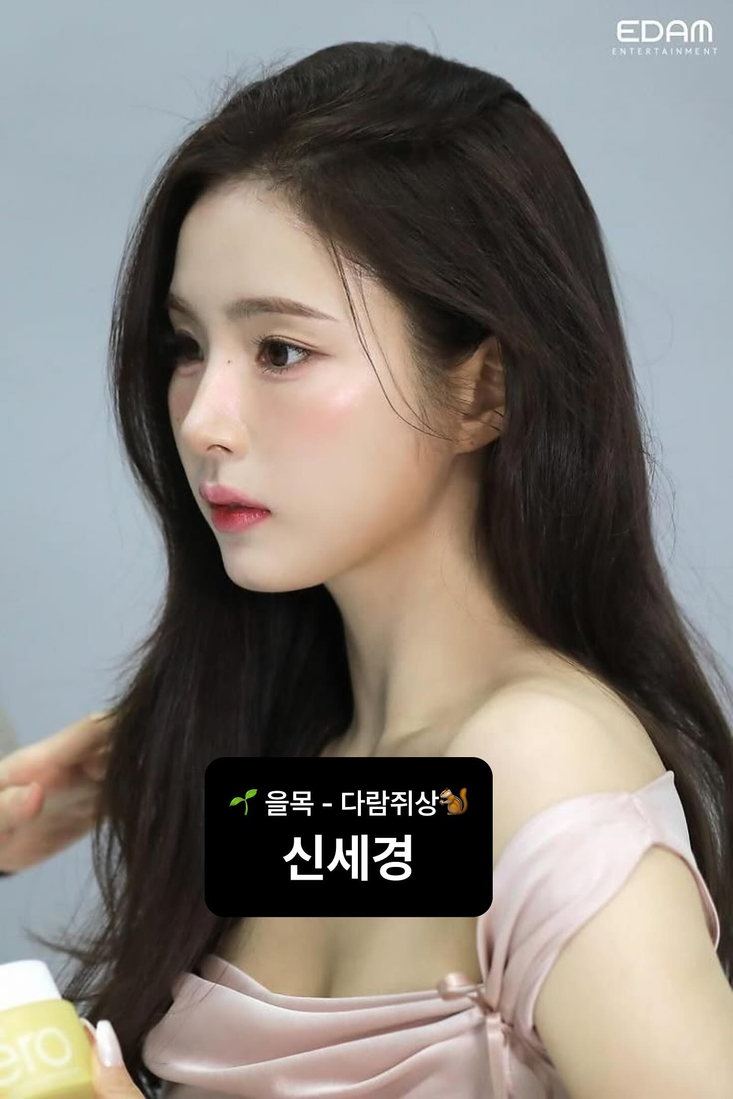 사주로 보는 닮은꼴 동물상 총정리- 당신은 여우상? 강아지상? - 타이트 사주