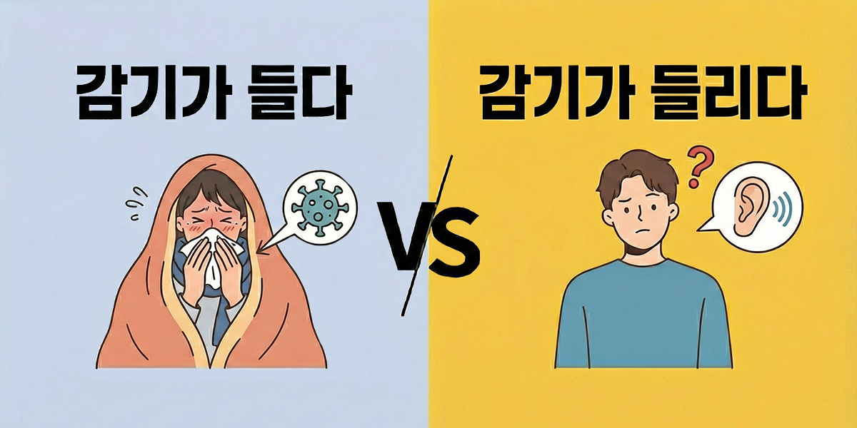 '감기가 들다' vs '감기가 들리다', 헷갈리는 표현 차이점 - 글잘러를 위한 센텐시파이 블로그