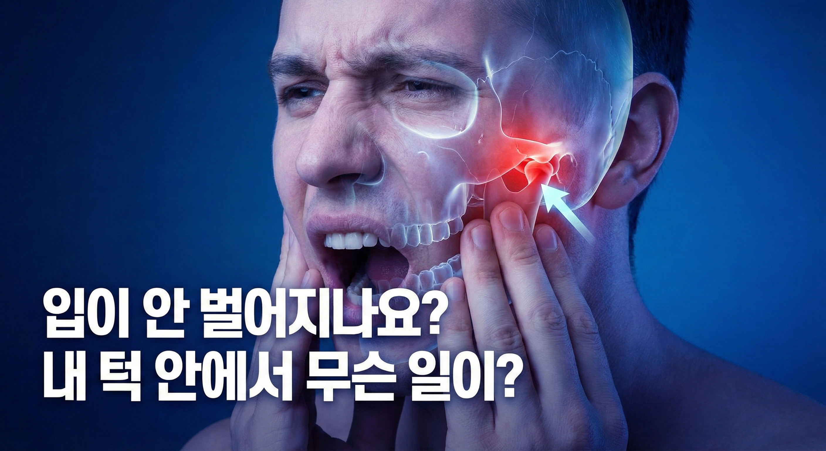 턱관절? 하악과두? 어떻게 생긴거에요?