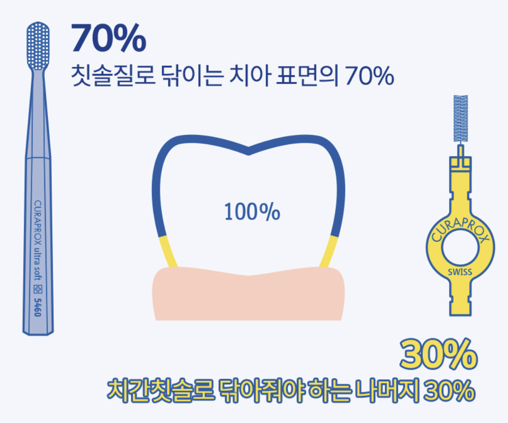 목동·오목교역 치과 | 치간칫솔, 가는 게 좋다는 건 오해입니다