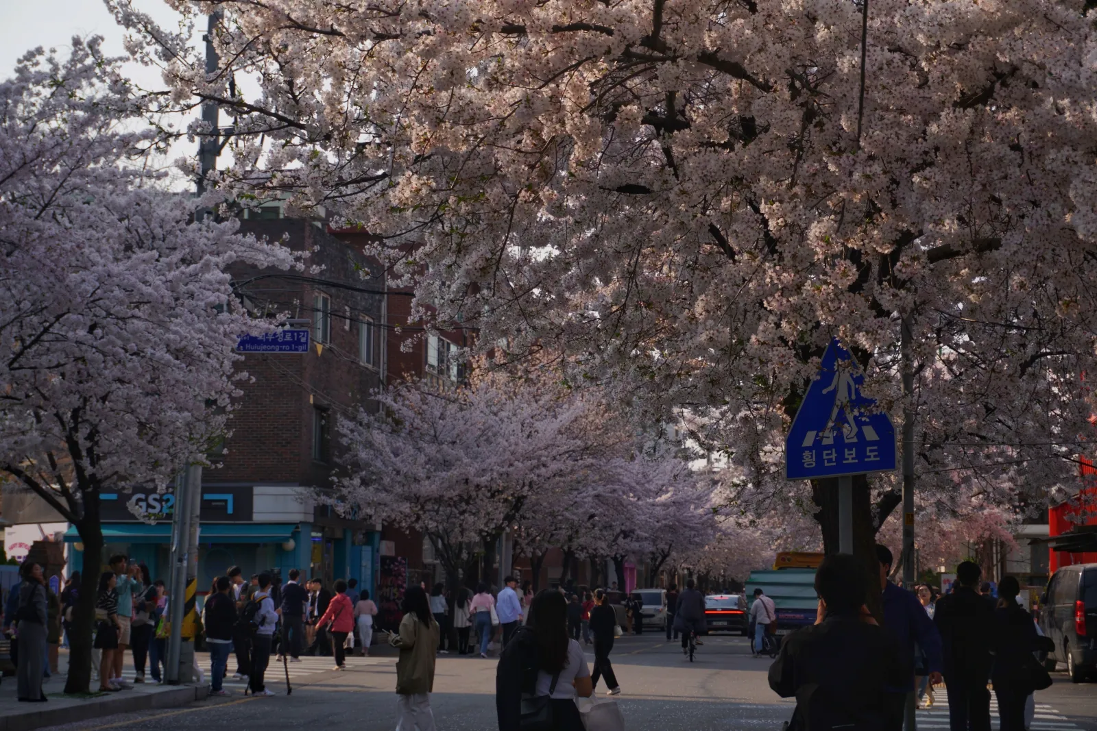 mangwon-dong