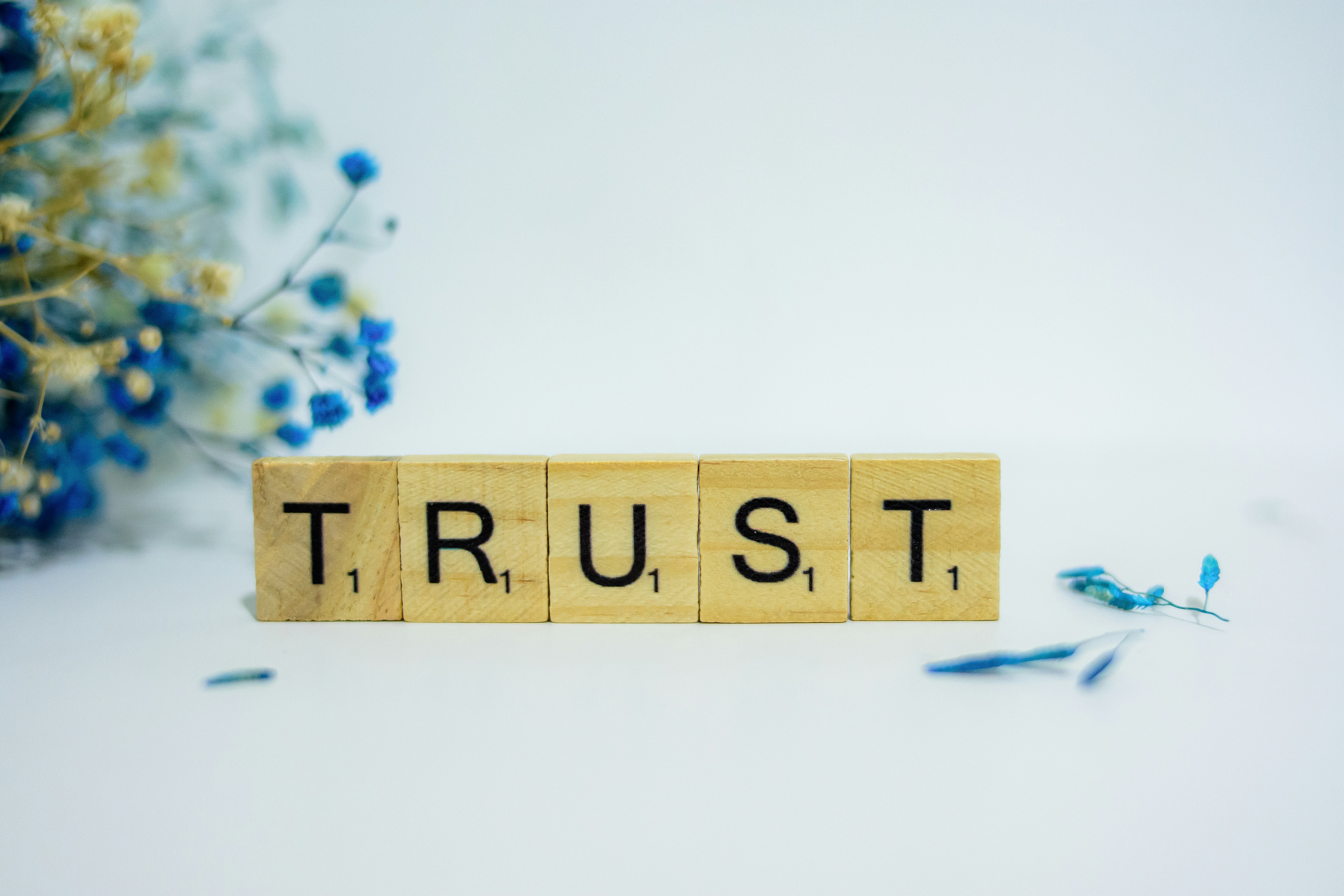 Blocks with the word, TRUST
