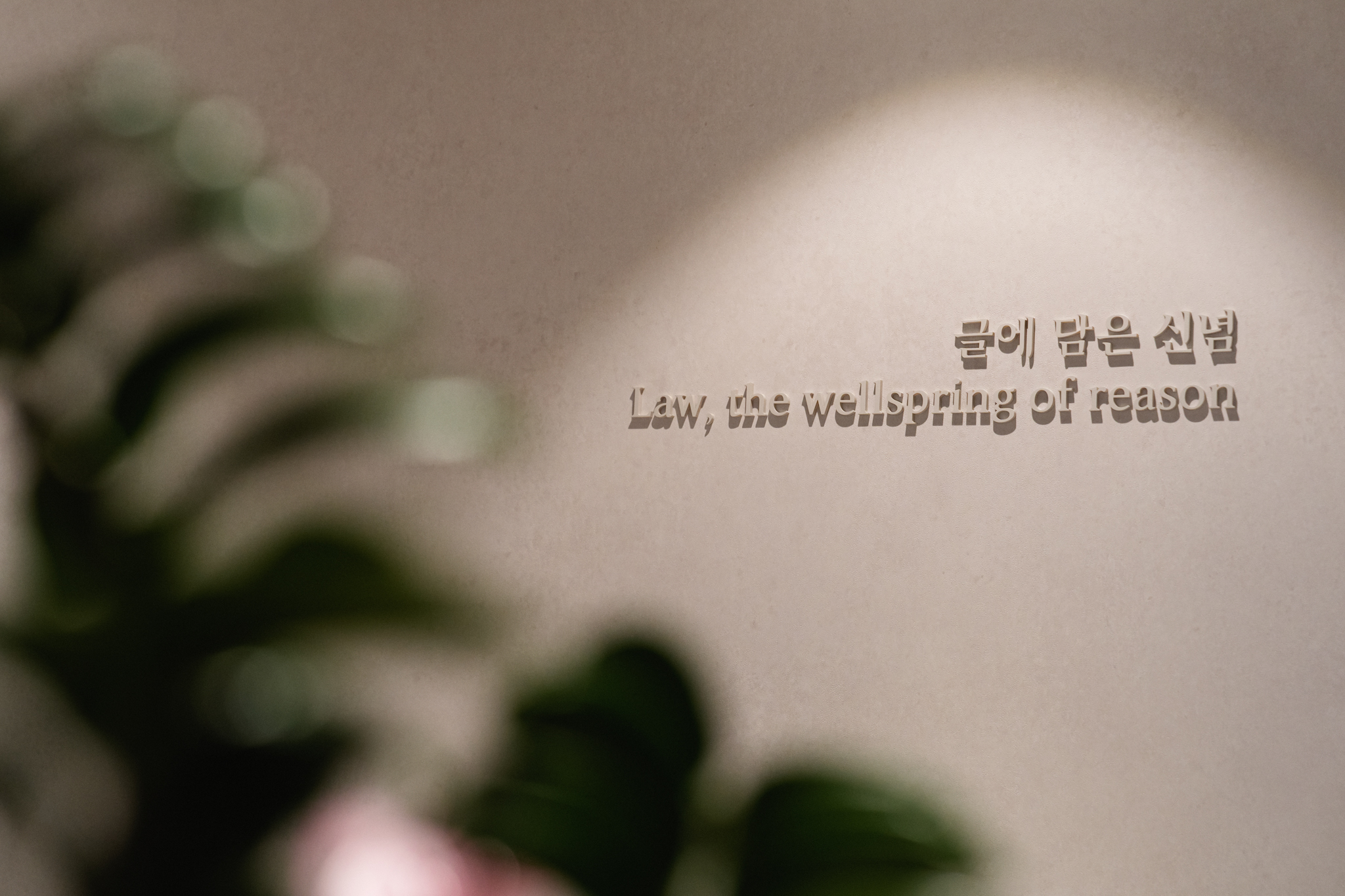 수사 단계의 구속적부심과 재판 단계의 보석청구가 갈리는 시점, 각 제도의 장단점과 적용 상황, 도주 우려와 증거 인멸 등 법원의 판단 기준, 마약 사건에서 공범 연락이 불리하게 작용하는 이유, 사건 단계별 선택 방법까지 살펴봅니다.